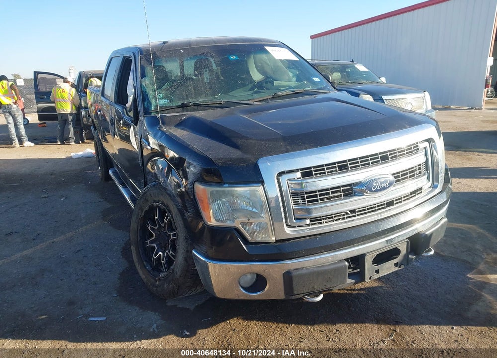 2013 FORD F-150 XLT VIN: 1FTFW1EF8DKE43924