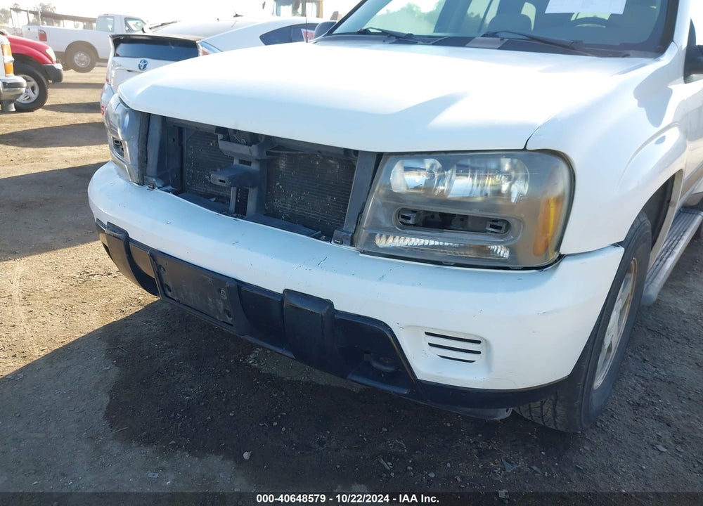 2005 CHEVROLET TRAILBLAZER LS VIN: 1GNDT13S252306633