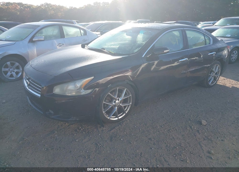 2010 NISSAN MAXIMA 3.5 SV VIN: 1N4AA5AP1AC821740