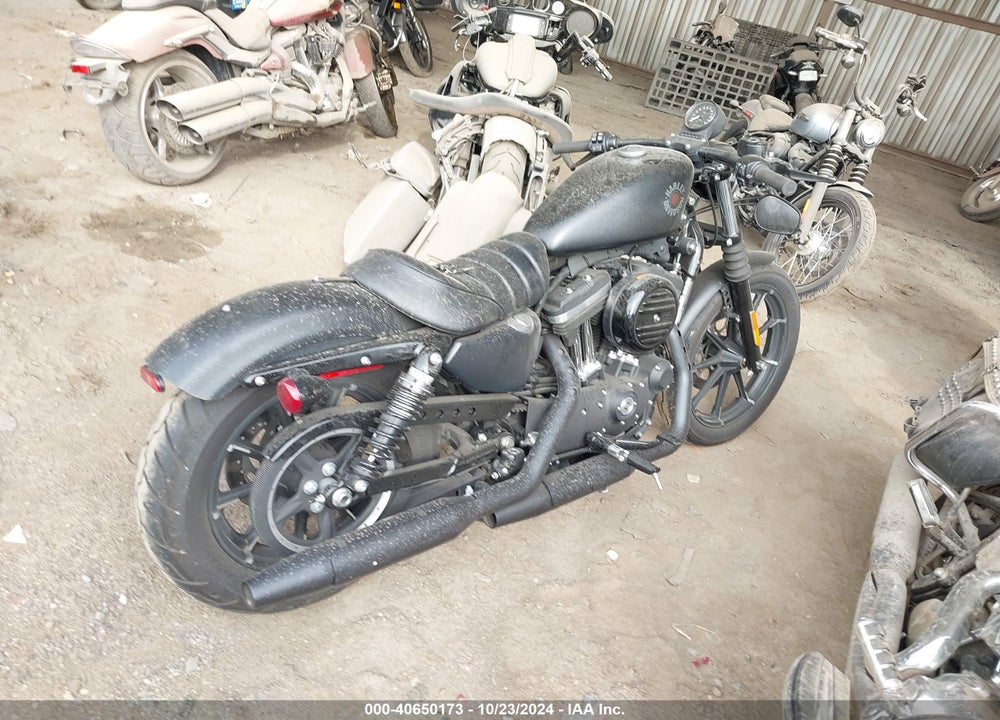 2022 HARLEY-DAVIDSON XL883 N VIN: 1HD4LE216NB400344