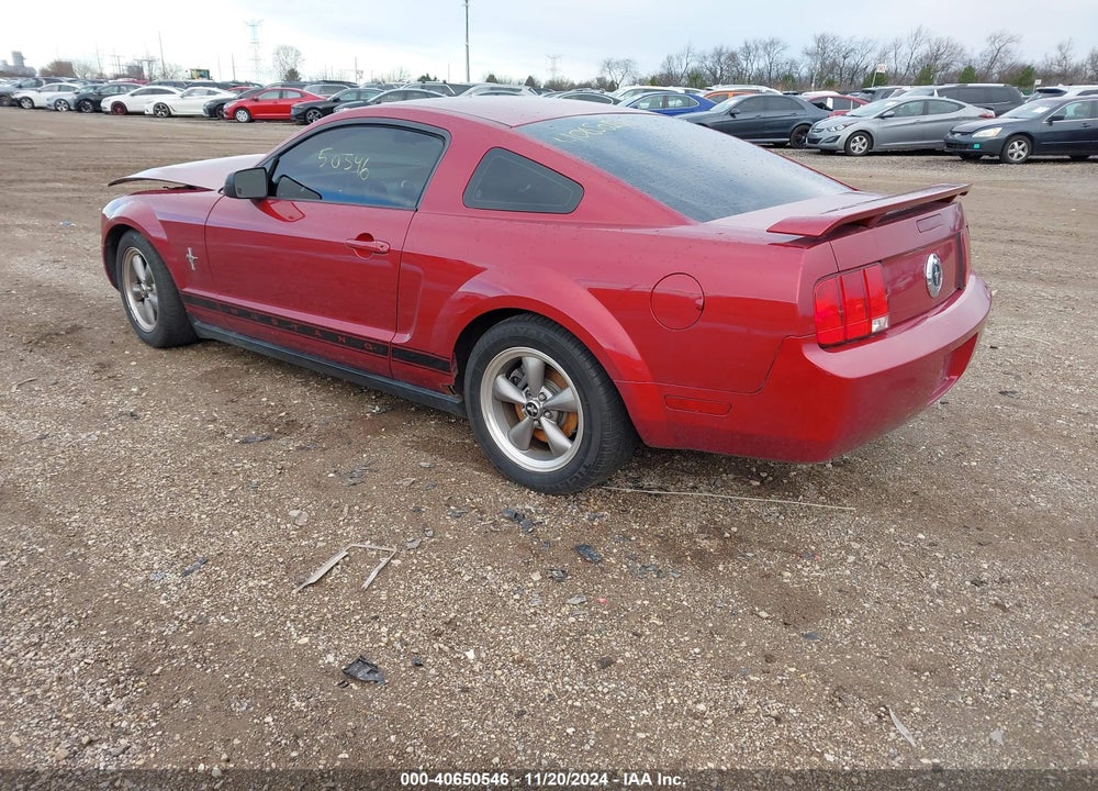 2006 FORD MUSTANG V6 VIN: 1ZVFT80N565145121