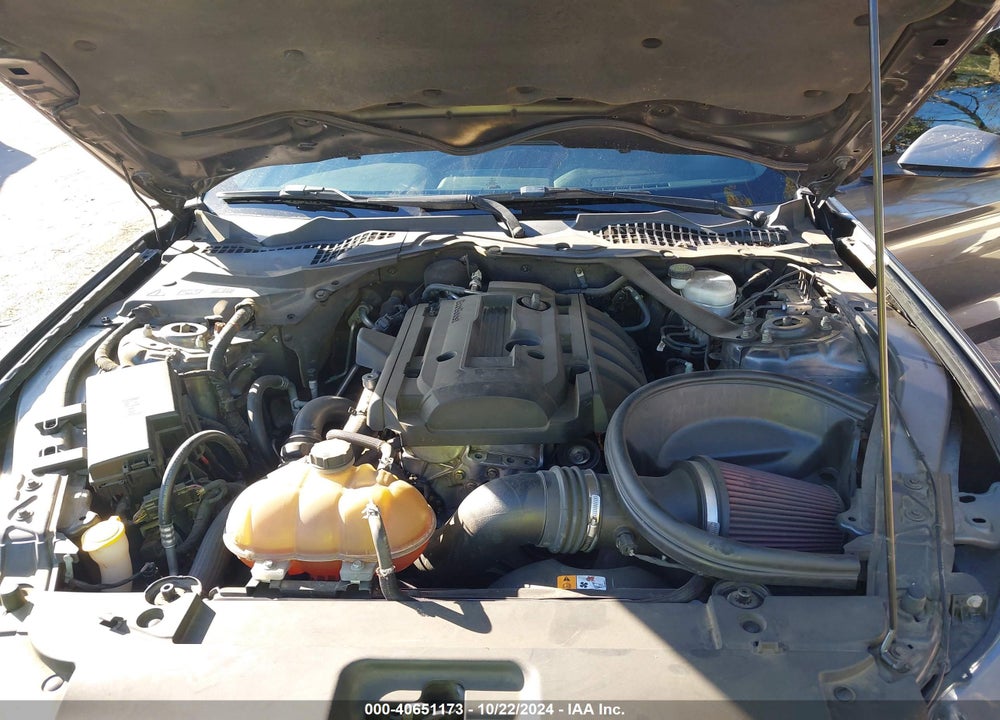 2015 FORD MUSTANG ECOBOOST VIN: 1FA6P8TH8F5384164