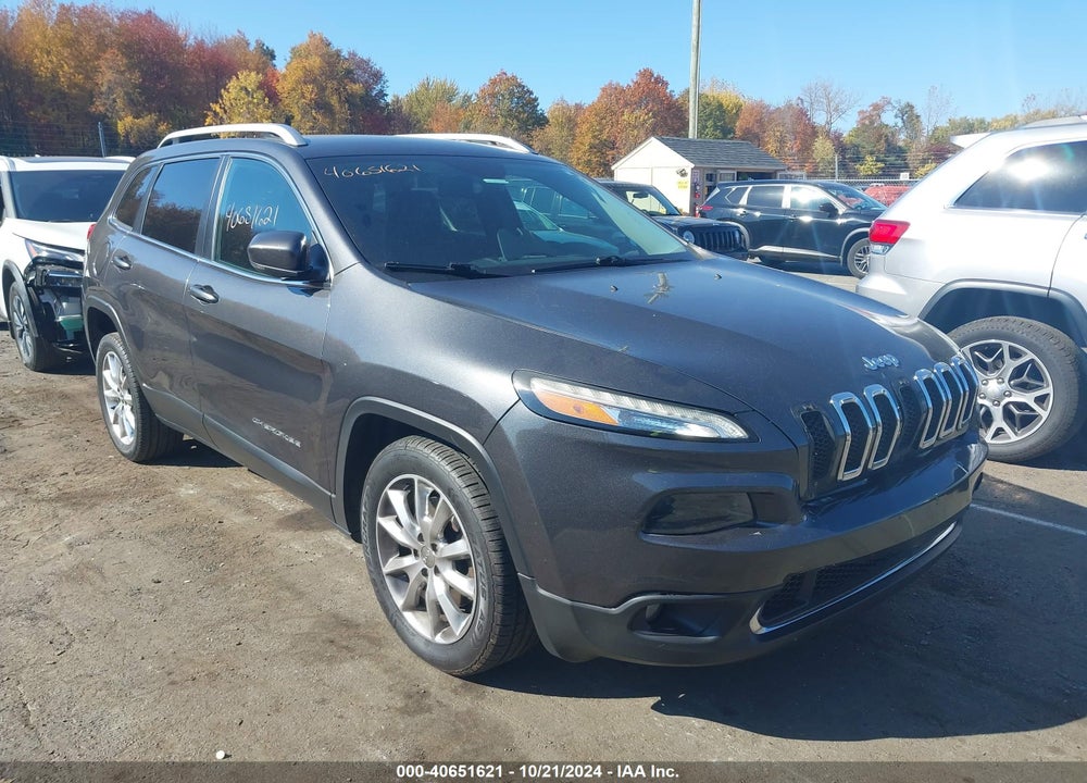 2016 JEEP CHEROKEE VIN: 1C4PJLDB1GW160761