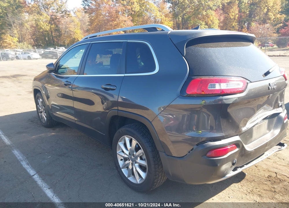 2016 JEEP CHEROKEE VIN: 1C4PJLDB1GW160761