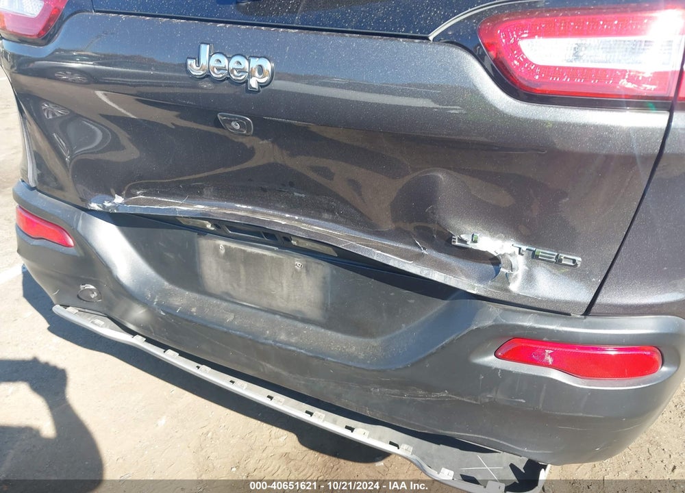 2016 JEEP CHEROKEE VIN: 1C4PJLDB1GW160761