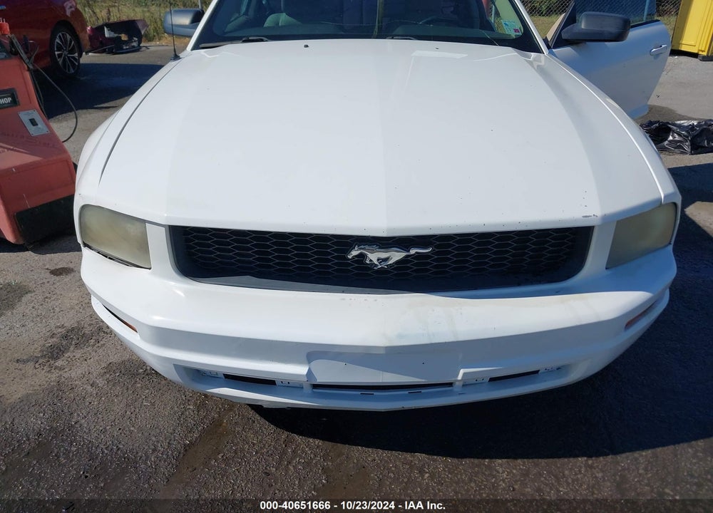 2009 FORD MUSTANG V6/V6 PREMIUM VIN: 1ZVHT80N295137992