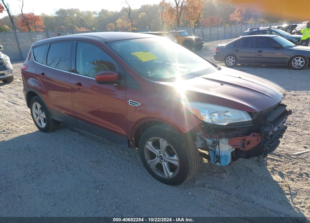 2014 FORD ESCAPE SE VIN: 1FMCU9G99EUB53014