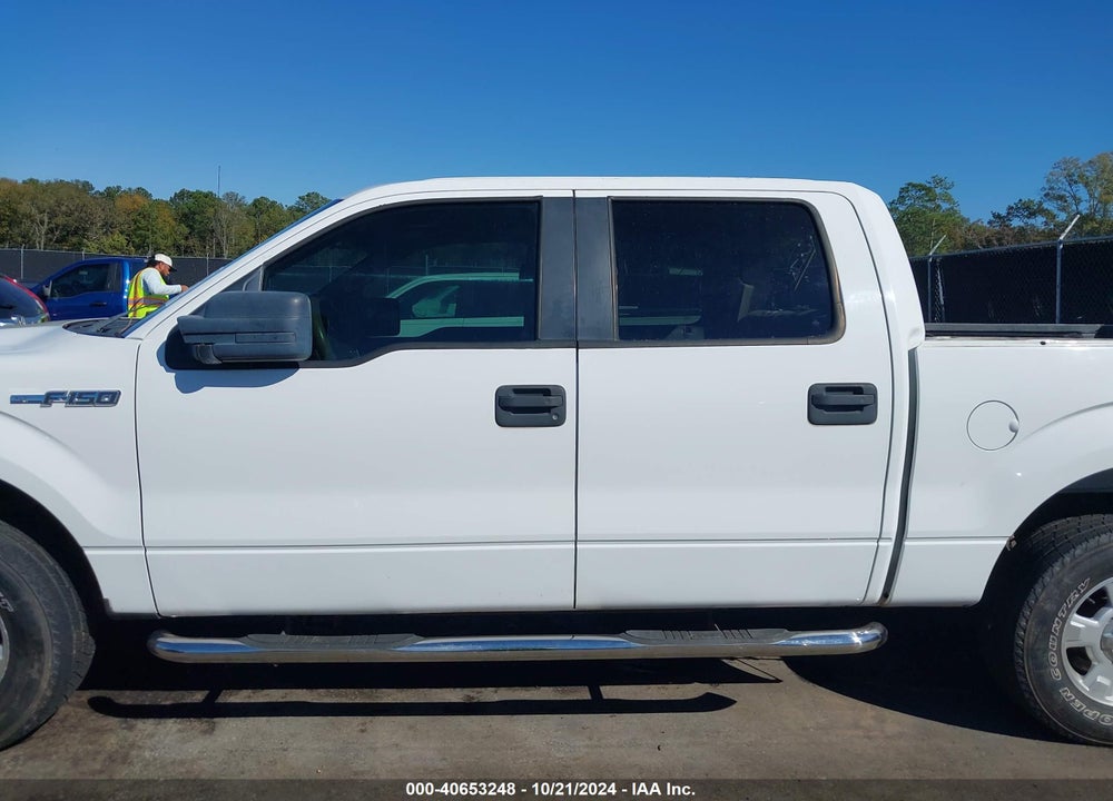 2010 FORD F-150 XL/XLT VIN: 1FTEW1E88AFA29303