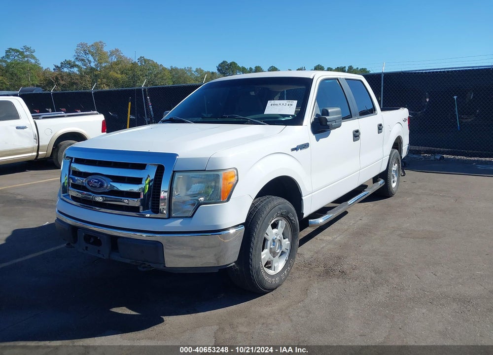 2010 FORD F-150 XL/XLT VIN: 1FTEW1E88AFA29303