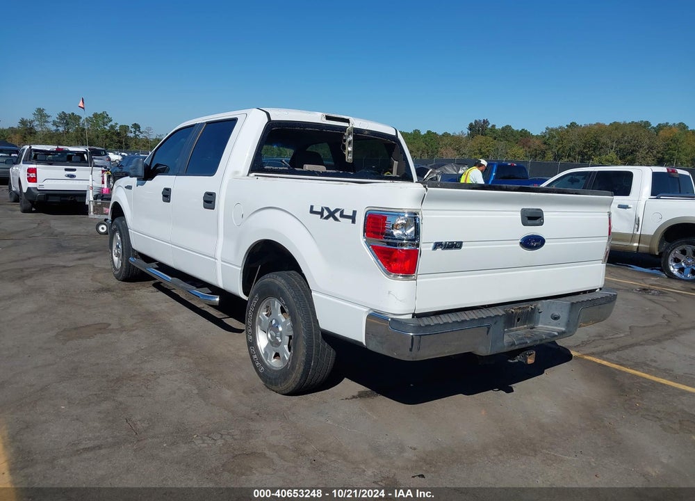 2010 FORD F-150 XL/XLT VIN: 1FTEW1E88AFA29303