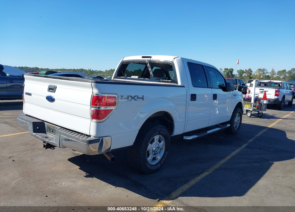 2010 FORD F-150 XL/XLT VIN: 1FTEW1E88AFA29303