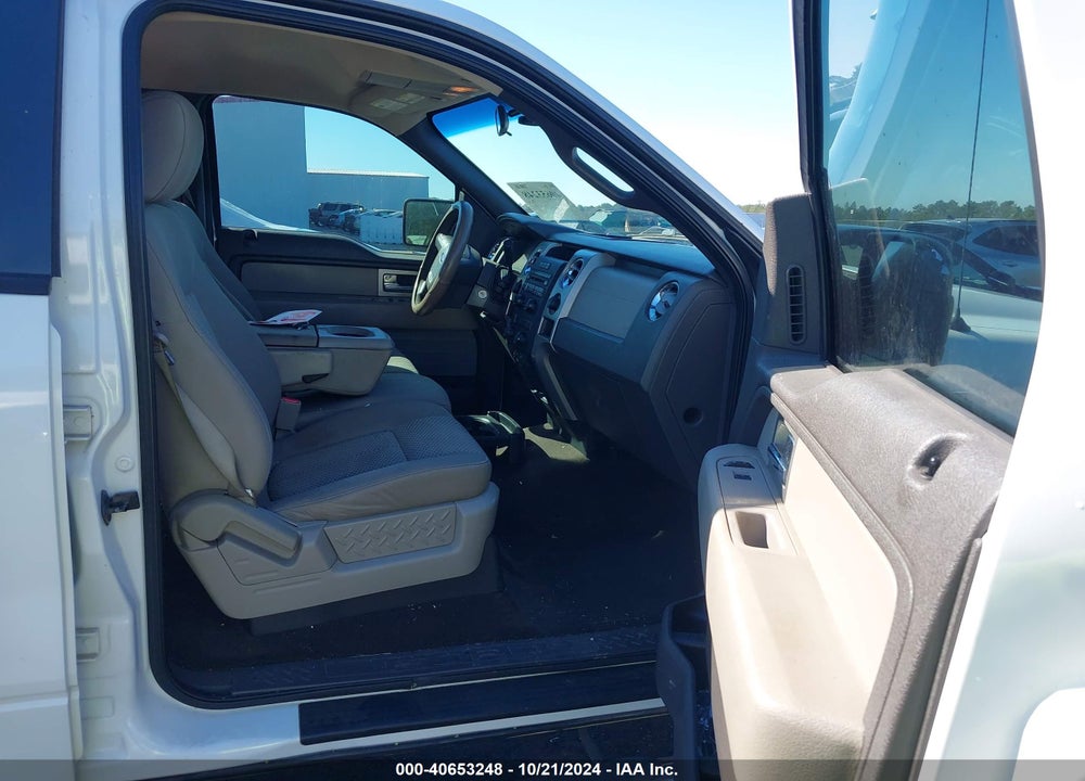2010 FORD F-150 XL/XLT VIN: 1FTEW1E88AFA29303