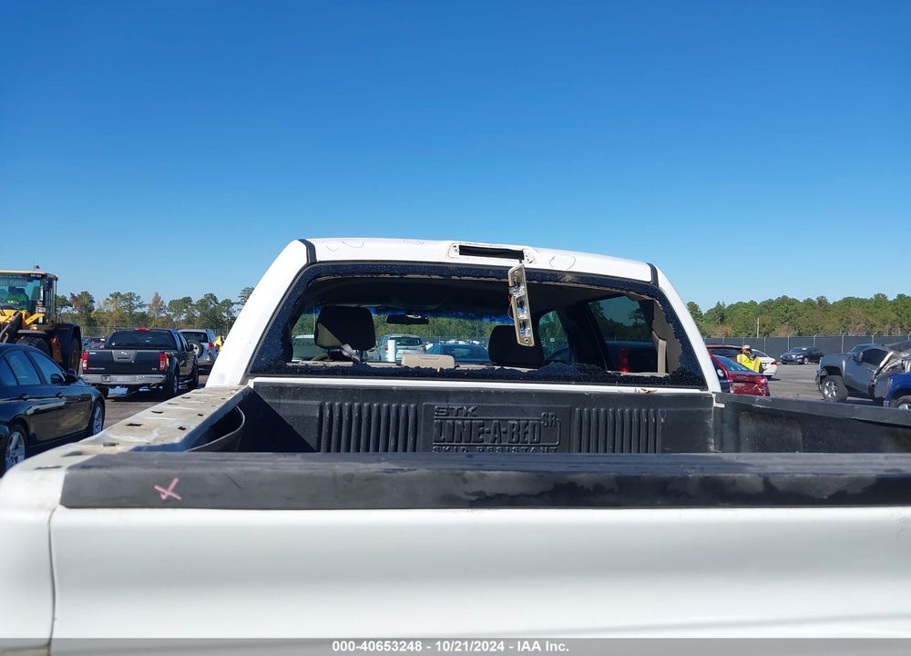 2010 FORD F-150 XL/XLT VIN: 1FTEW1E88AFA29303