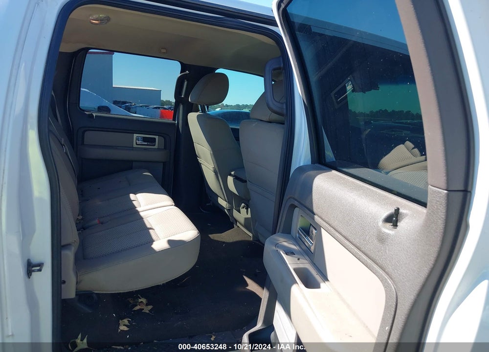 2010 FORD F-150 XL/XLT VIN: 1FTEW1E88AFA29303