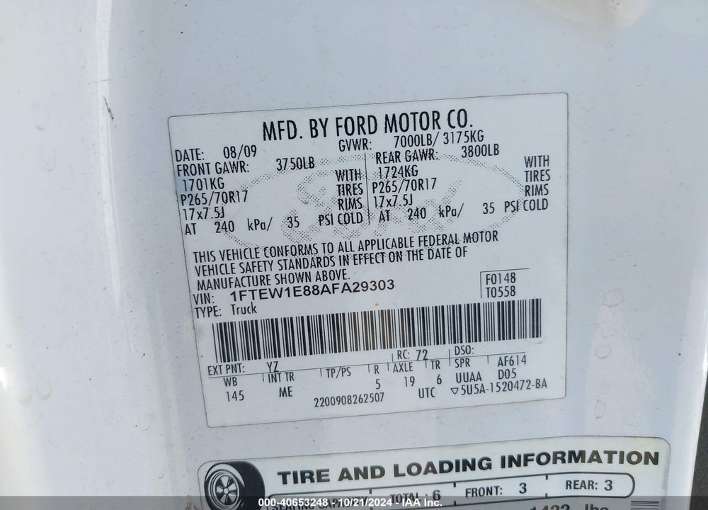 2010 FORD F-150 XL/XLT VIN: 1FTEW1E88AFA29303
