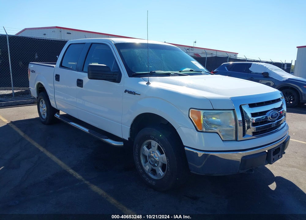 2010 FORD F-150 XL/XLT VIN: 1FTEW1E88AFA29303