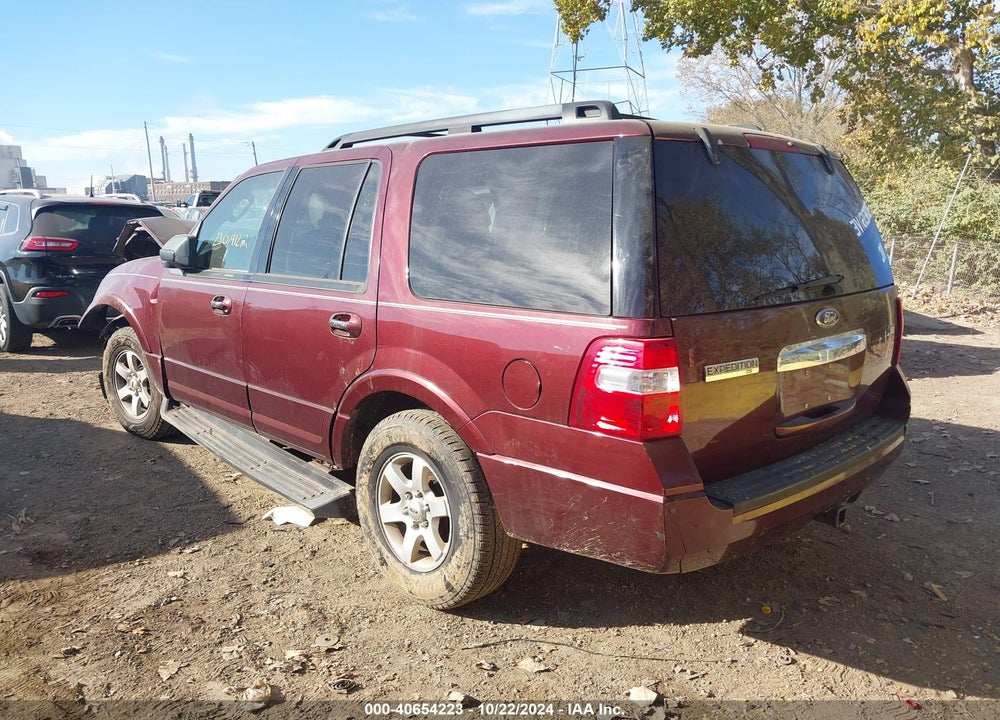 2010 FORD EXPEDITION XLT VIN: 1FMJU1G54AEA15973