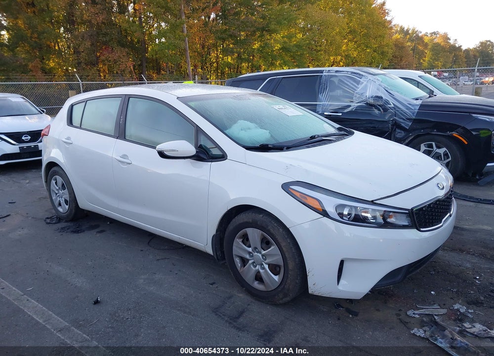 2017 KIA FORTE LX VIN: KNAFK5A83H5702511