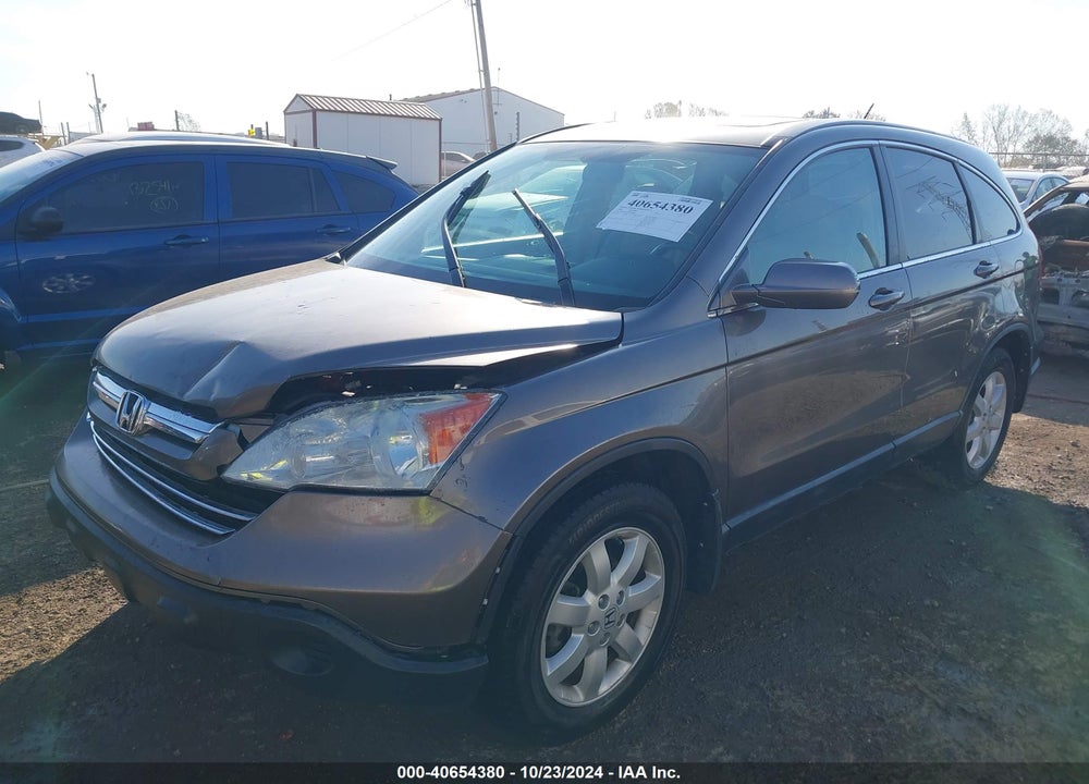 2009 HONDA CR-V EX-L VIN: 5J6RE38739L018008