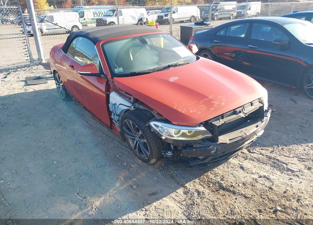 2017 BMW 230I XDRIVE VIN: WBA2M9C34H7A47851