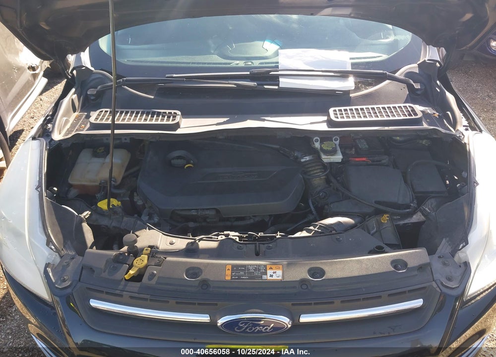 2014 FORD ESCAPE SE VIN: 1FMCU0GX2EUE02344