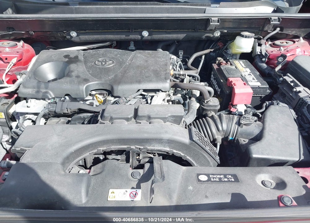 2019 TOYOTA RAV4 LE VIN: JTMH1RFV1KJ008788