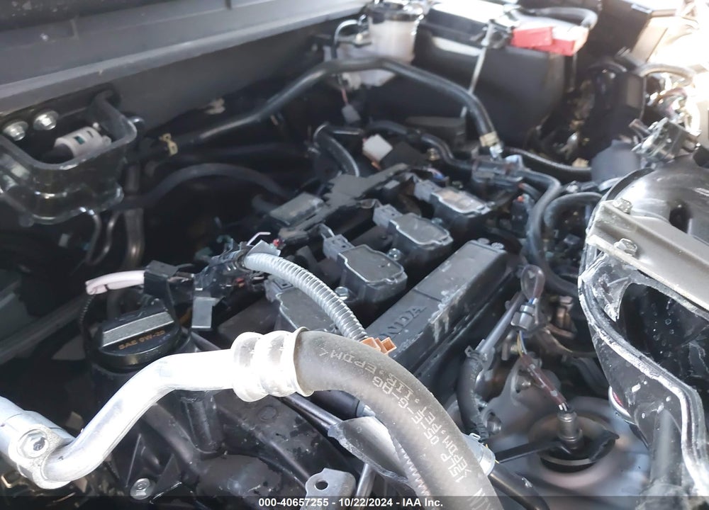 2024 HONDA ACCORD EX VIN: 1HGCY1F3XRA002960
