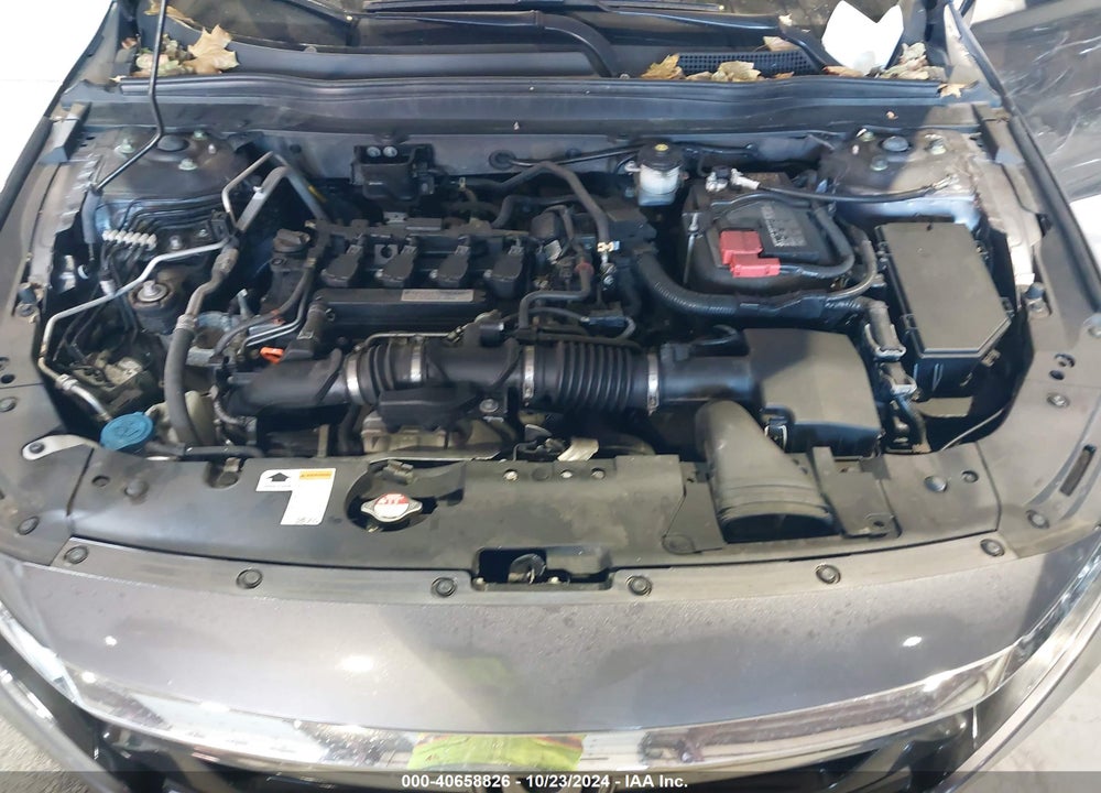 2020 HONDA ACCORD LX VIN: 1HGCV1F1XLA128251