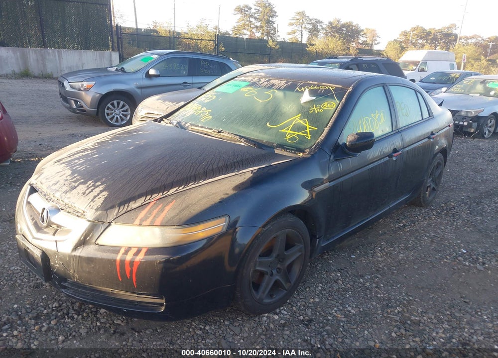 2005 ACURA TL VIN: 19UUA66255A062863