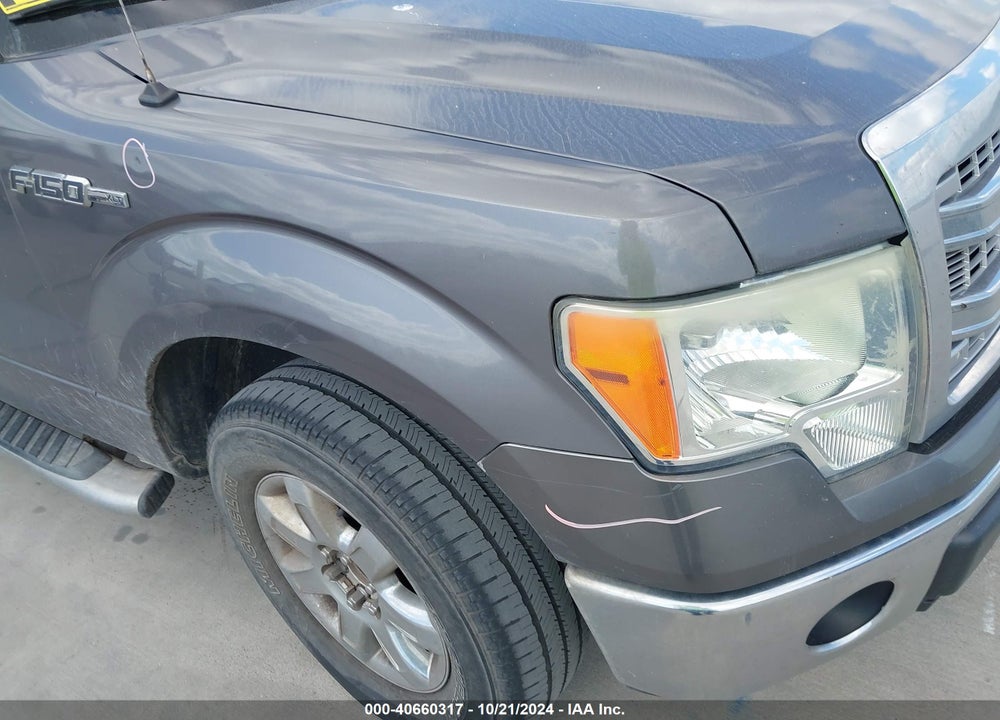 2013 FORD F-150 XLT VIN: 1FTFX1CF8DKG24344