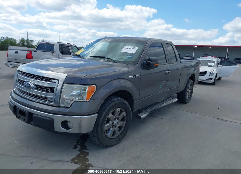 2013 FORD F-150 XLT VIN: 1FTFX1CF8DKG24344