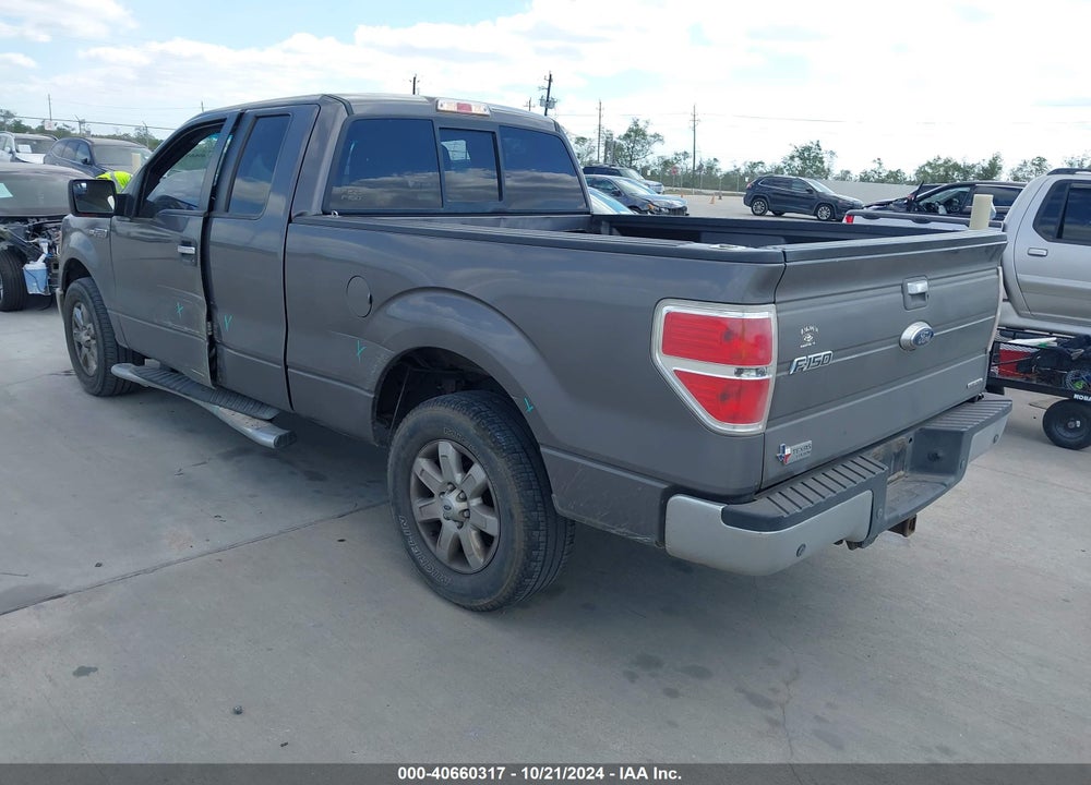 2013 FORD F-150 XLT VIN: 1FTFX1CF8DKG24344