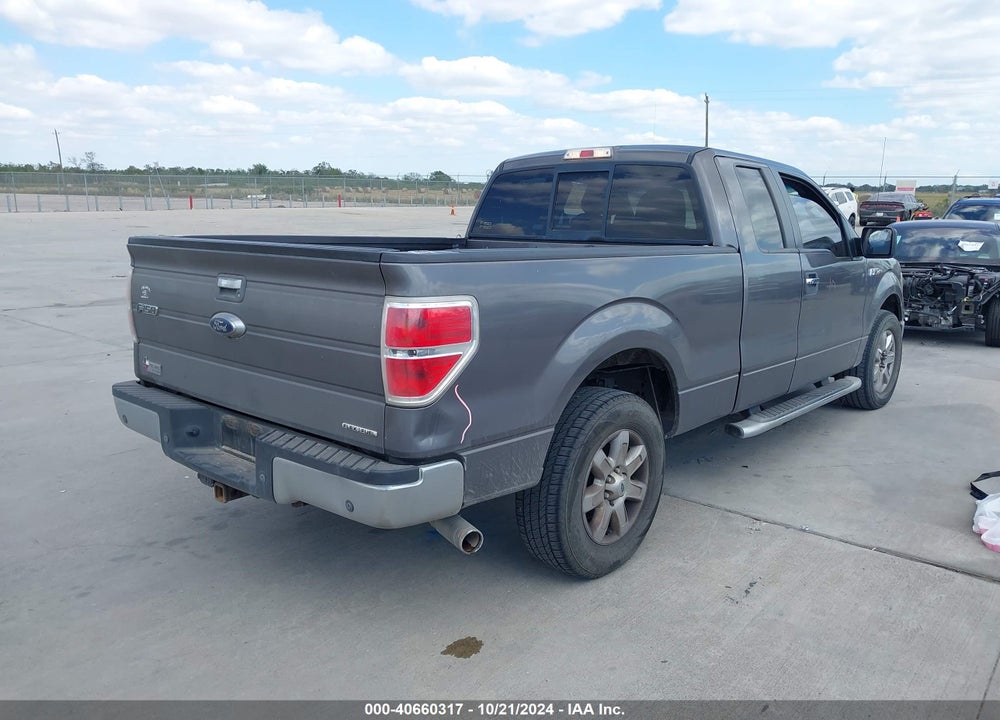 2013 FORD F-150 XLT VIN: 1FTFX1CF8DKG24344