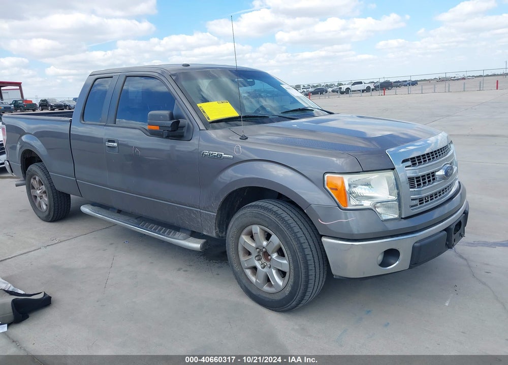 2013 FORD F-150 XLT VIN: 1FTFX1CF8DKG24344