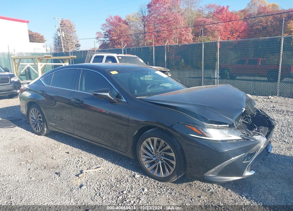 2019 LEXUS ES 300H LUXURY VIN: JTHB21B17K2001649