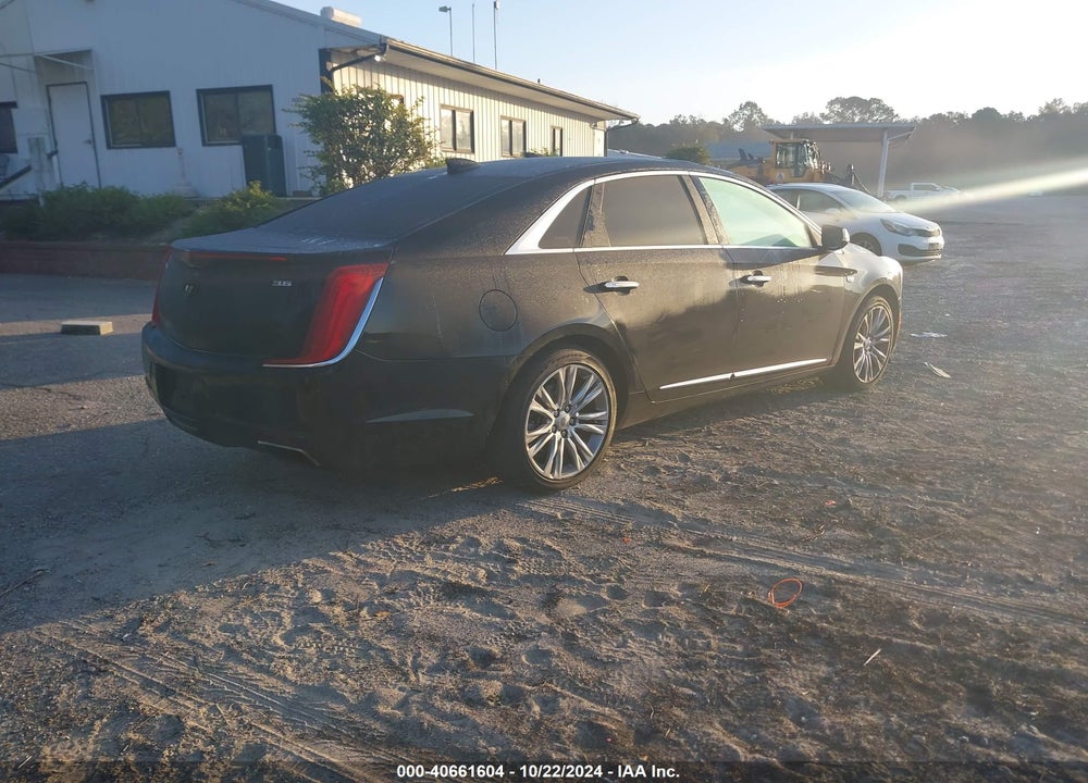 2019 CADILLAC XTS VIN: 2G61M5S31K9131544