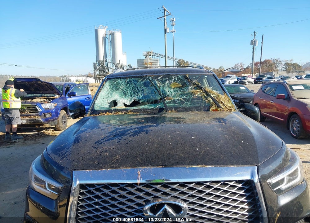 2019 INFINITI QX80 LUXE VIN: JN8AZ2NE1K9225962