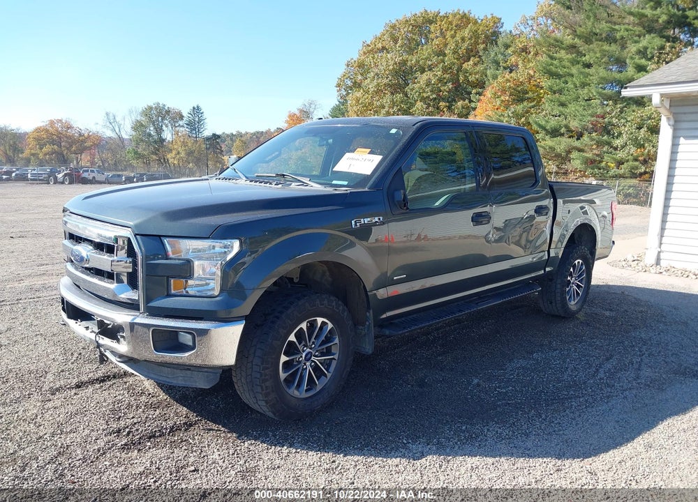 2015 FORD F-150 XLT VIN: 1FTEW1EG9FFA93736