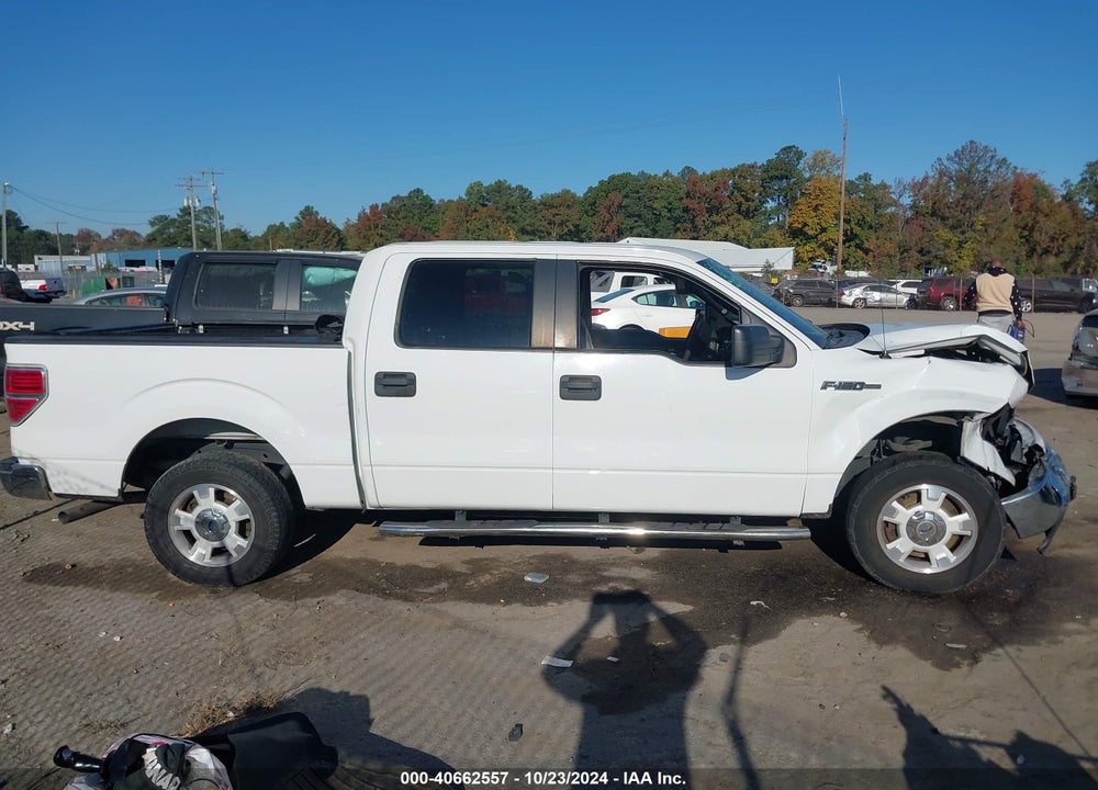 2014 FORD F-150 XLT VIN: 1FTFW1CF1EFB86621