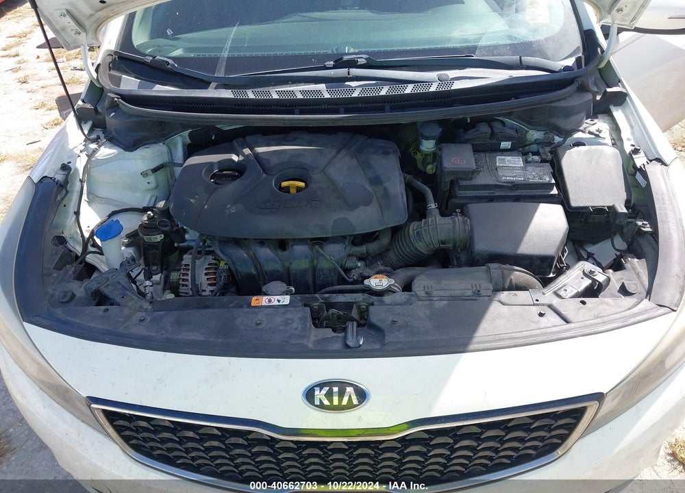 2017 KIA FORTE LX VIN: KNAFK5A87H5707811