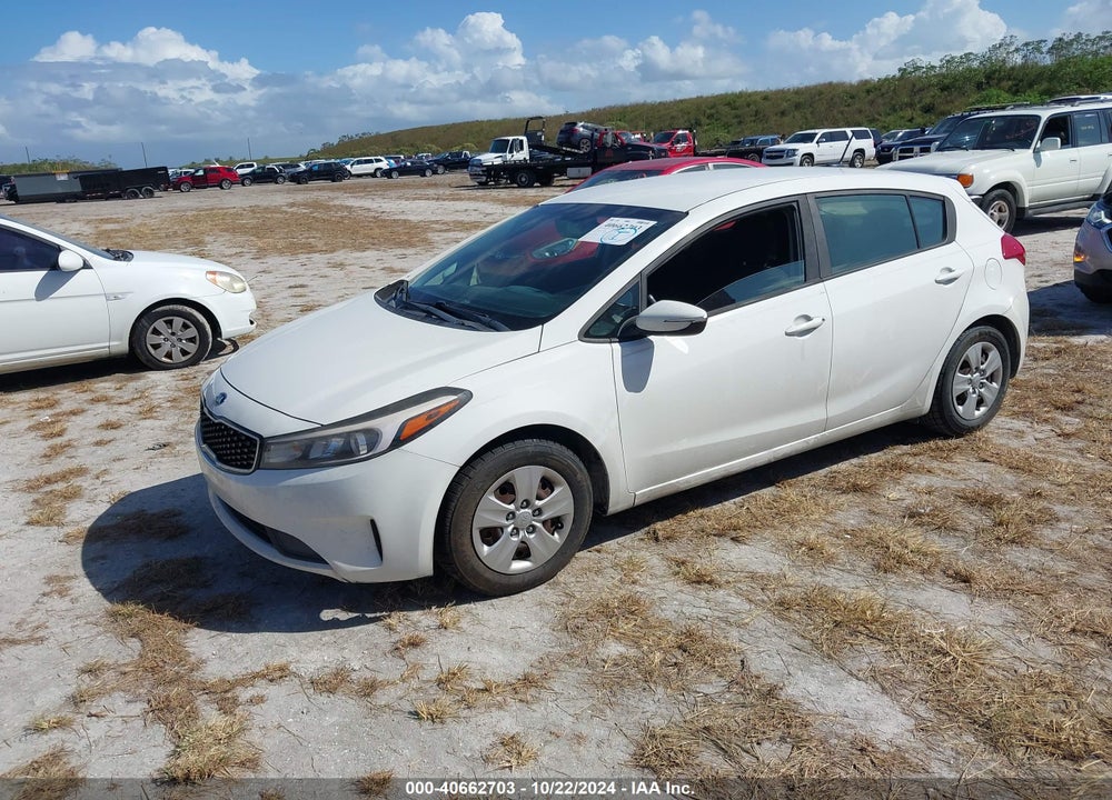 2017 KIA FORTE LX VIN: KNAFK5A87H5707811