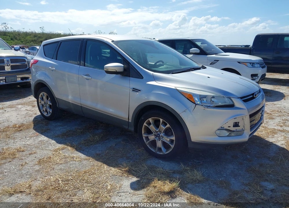2013 FORD ESCAPE SEL VIN: 1FMCU0H93DUC47821