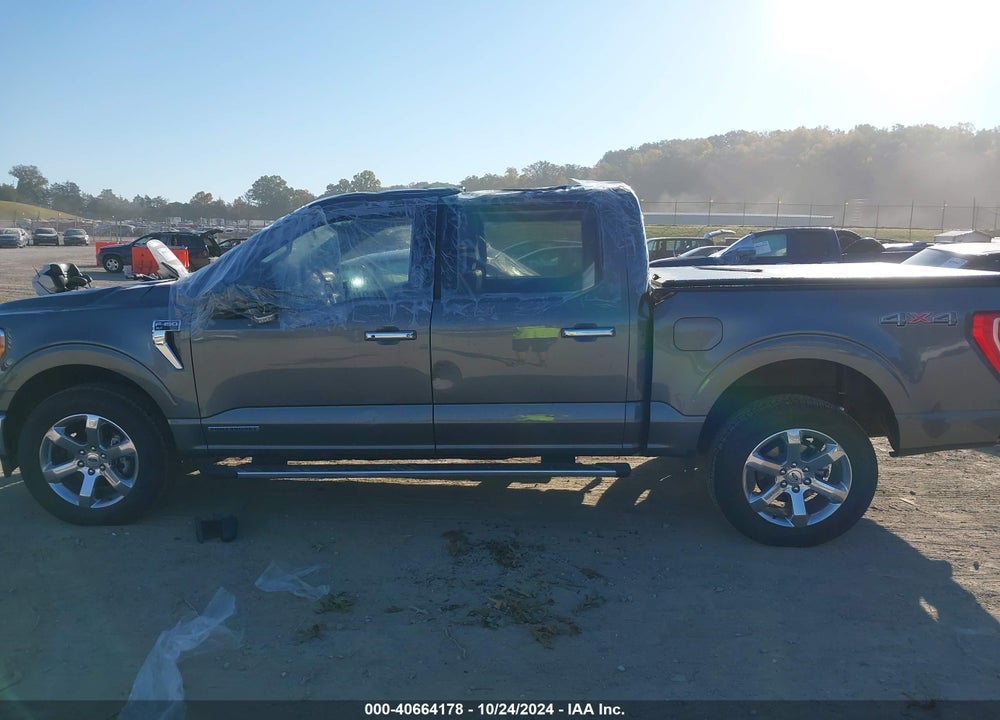 2023 FORD F-150 XLT VIN: 1FTFW1EDXPFC84772