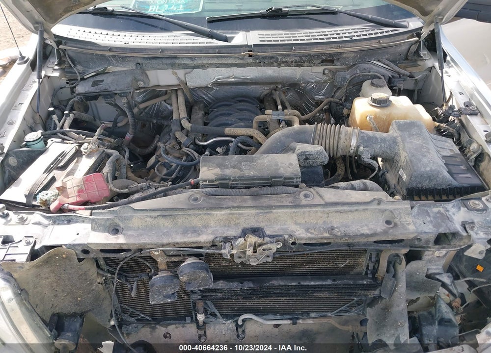 2012 FORD F-150 STX VIN: 1FTFX1EF9CFB02827