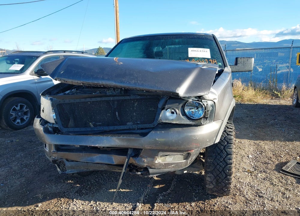 2004 FORD F-150 FX4/LARIAT/XLT VIN: 1FTPW14594KA94110