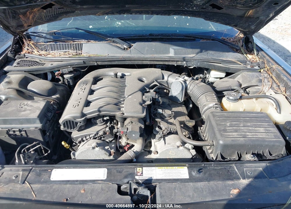 2010 CHALLENGER DODGE  SE VIN: 2B3CJ4DV8AH199577