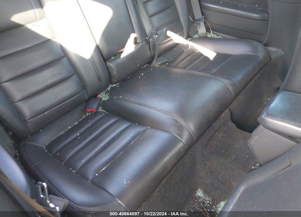 2010 CHALLENGER DODGE  SE VIN: 2B3CJ4DV8AH199577