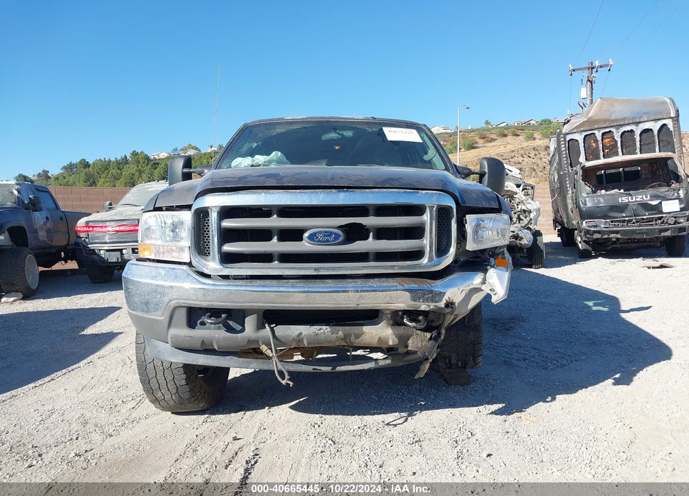 2004 FORD F-250 LARIAT/XL/XLT VIN: 1FTNW21P14EB93604