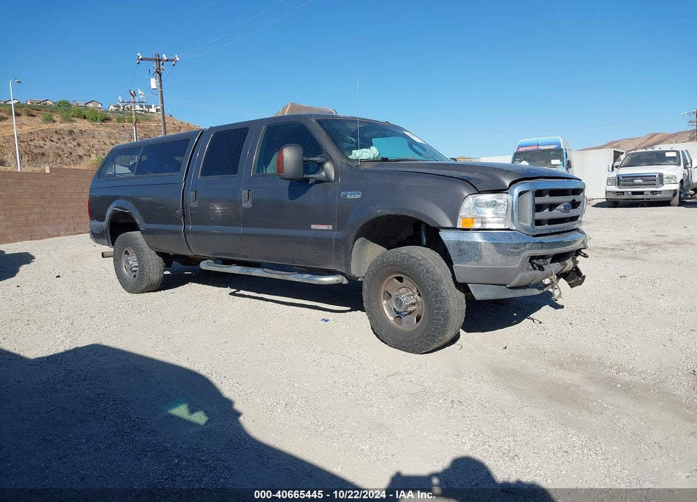 2004 FORD F-250 LARIAT/XL/XLT VIN: 1FTNW21P14EB93604