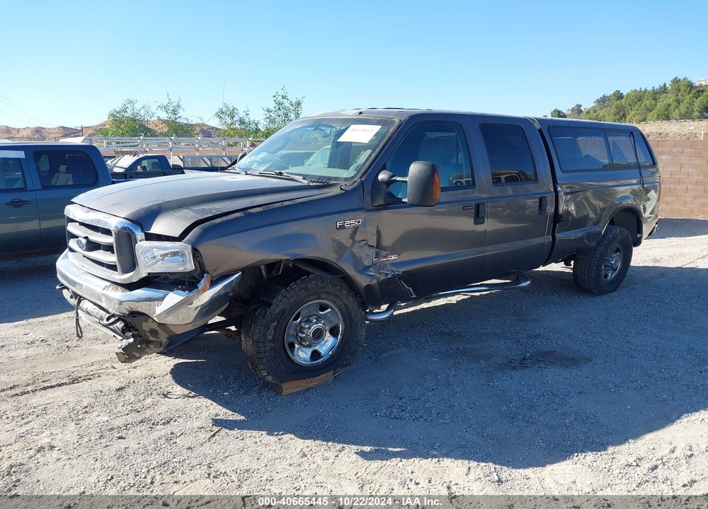 2004 FORD F-250 LARIAT/XL/XLT VIN: 1FTNW21P14EB93604